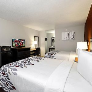 Deluxe Double Room Two Double Beds Non-Smoking
